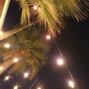 Meet your Posher, Celeste